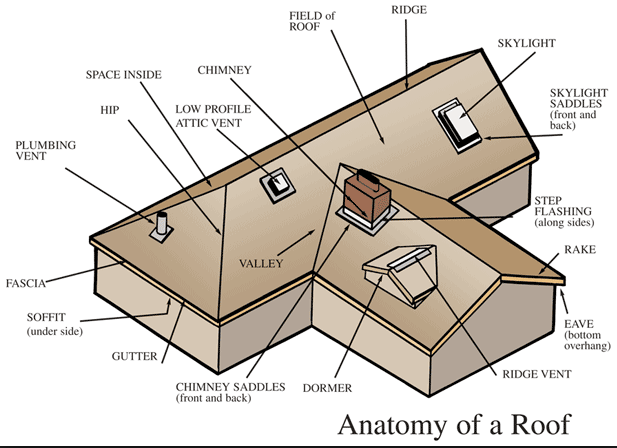 Article A Roofing Glossary, Roofing Advice from Roofing Systems